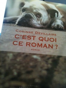 devillaire 002